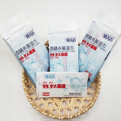 Ptivate label eco friendly household portable 10pcs sanitizers and disinfectant travel wipes antibacterial with alcohol